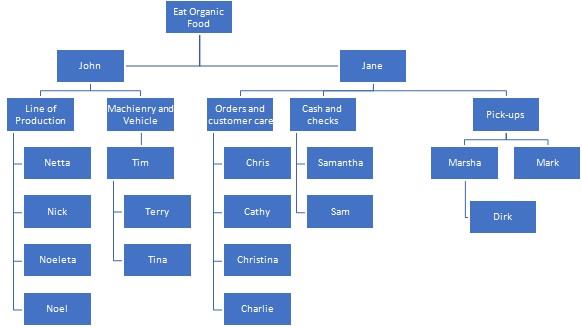 Organisasion chart of Eat Organic Food.jpg